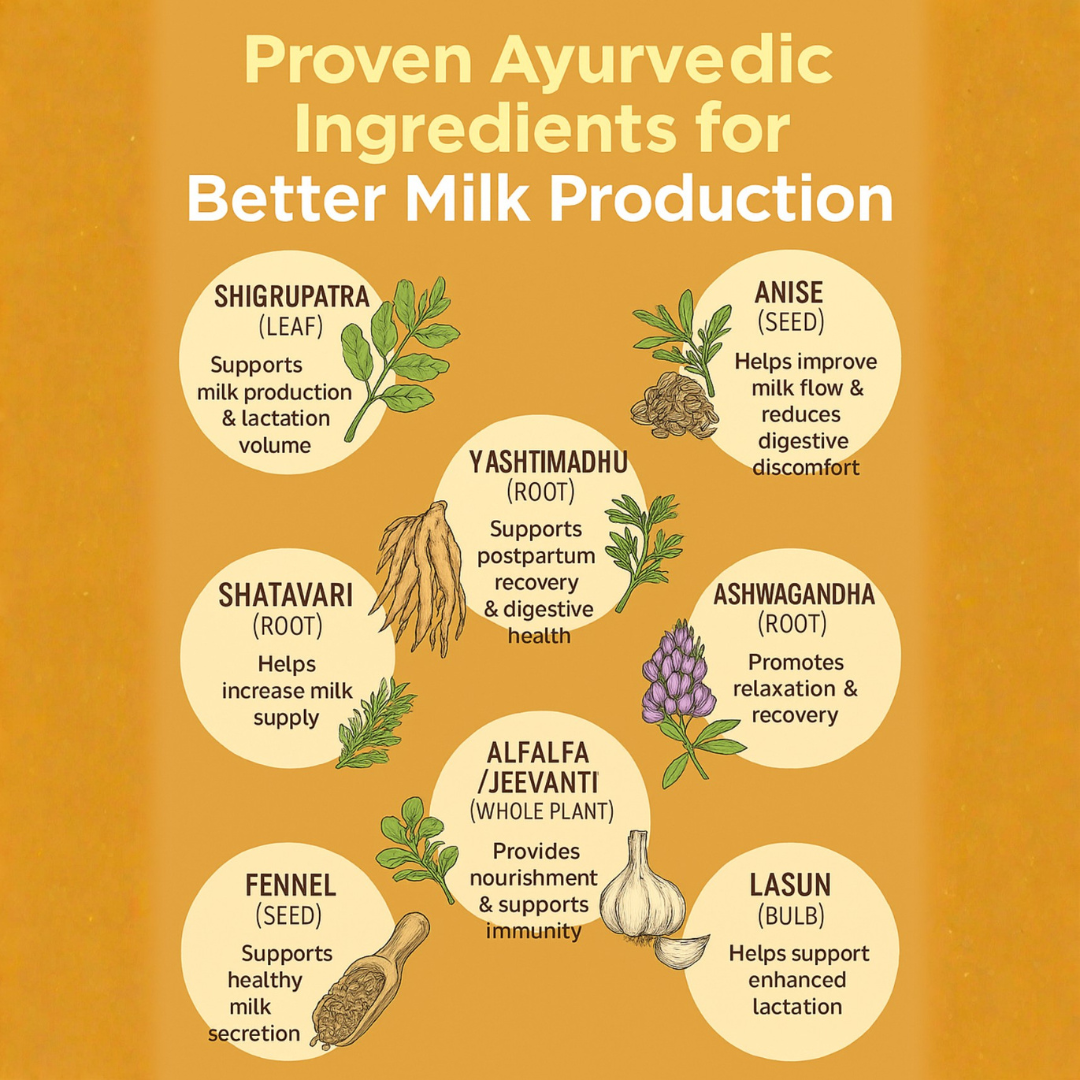 Richgogue Tablets | Lactation Support Tablets | 60 Tablets